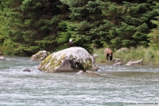 Haines, Chilkoot River