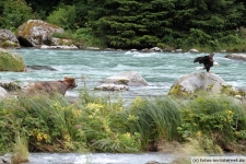 Haines, Chilkoot River