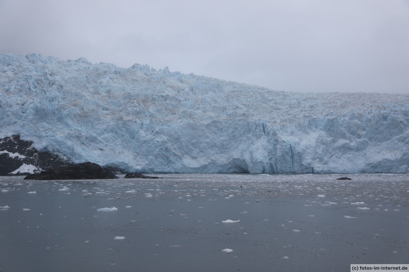 Alaska Reisebericht Seward, Haines Whale Watching, Bären Fotos im