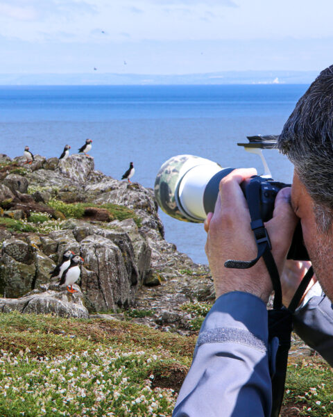 Puffins and me